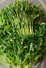 Load image into Gallery viewer, Pea Shoots 3oz