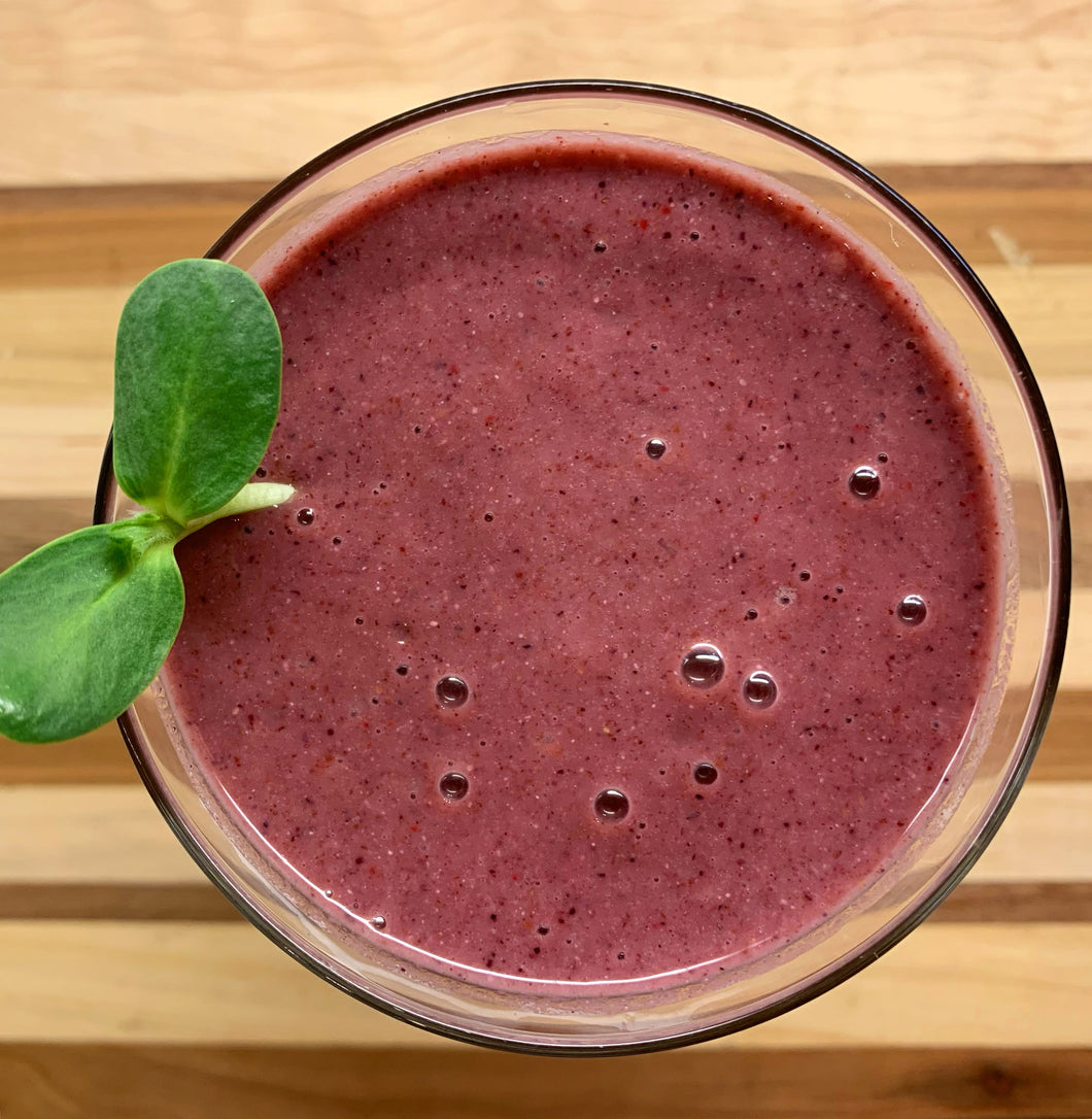 Berry smoothie in a glass with sunflower microgreen garnish