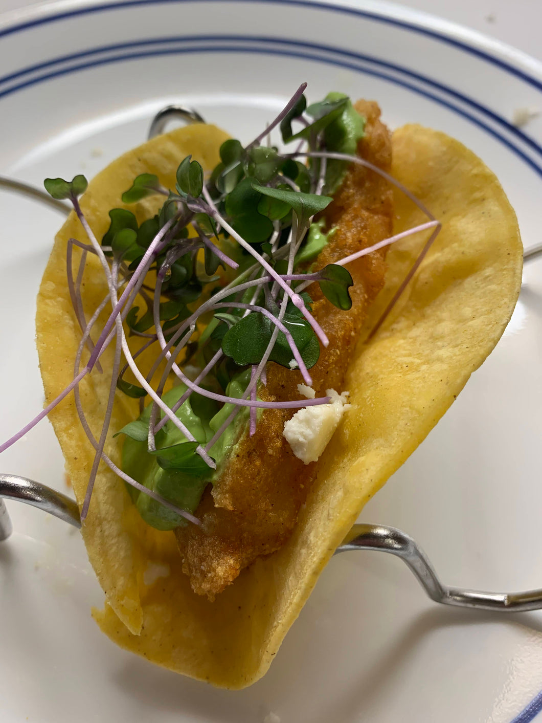 Fish taco on a plate with cabbage microgreens