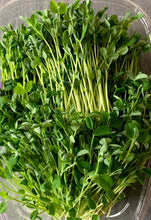 Load image into Gallery viewer, Pea Shoots 3oz
